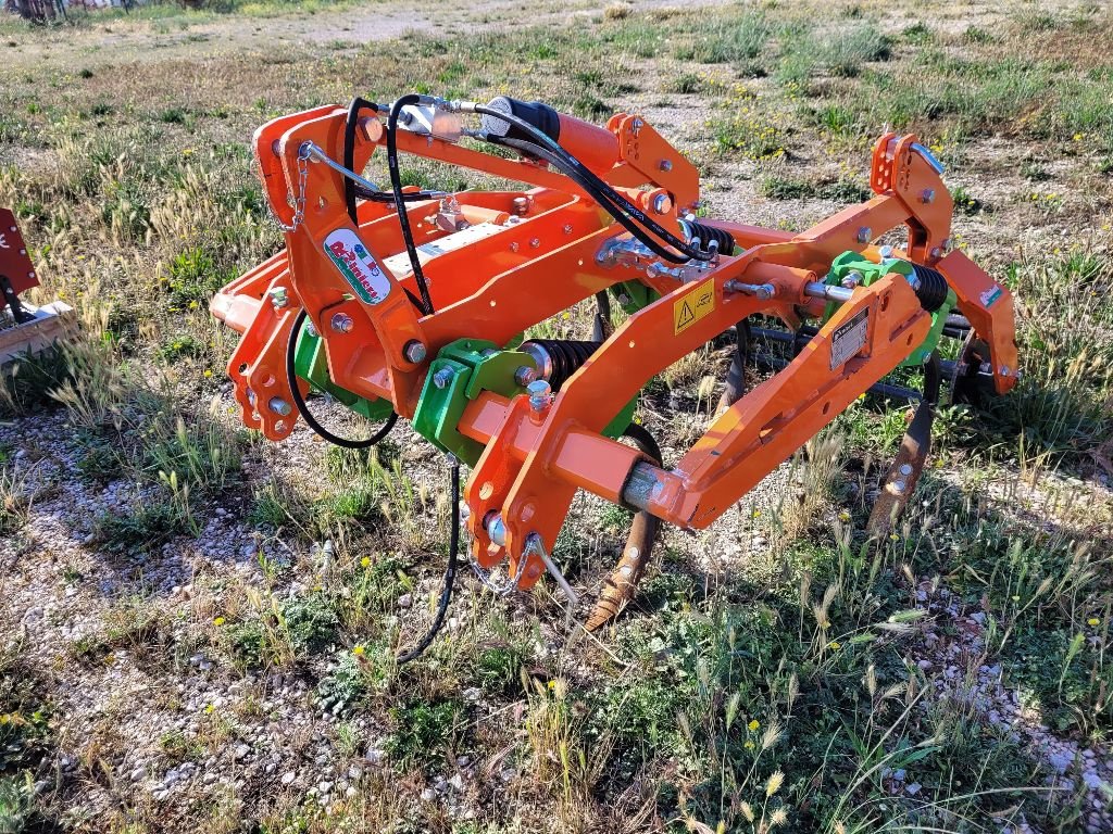 Sonstige Obsttechnik & Weinbautechnik типа Rinieri FRM 5 DENTS, Gebrauchtmaschine в CAVAILLON (Фотография 3)