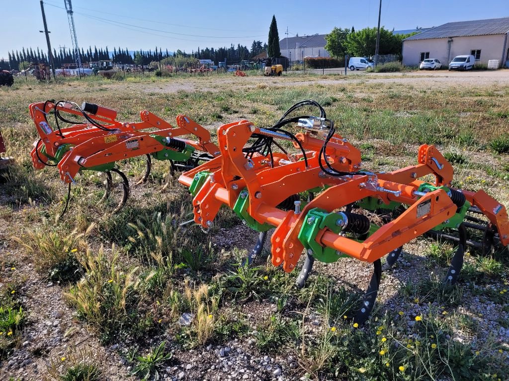 Sonstige Obsttechnik & Weinbautechnik tipa Rinieri FRM 5 DENTS, Gebrauchtmaschine u CAVAILLON (Slika 4)