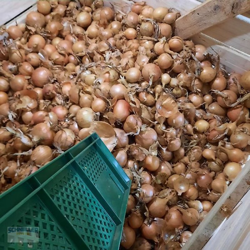 Sonstige Obsttechnik & Weinbautechnik a típus Schneller Povetec ZES 2 Zwiebelentschloter, Neumaschine ekkor: Hainsfarth (Kép 9)