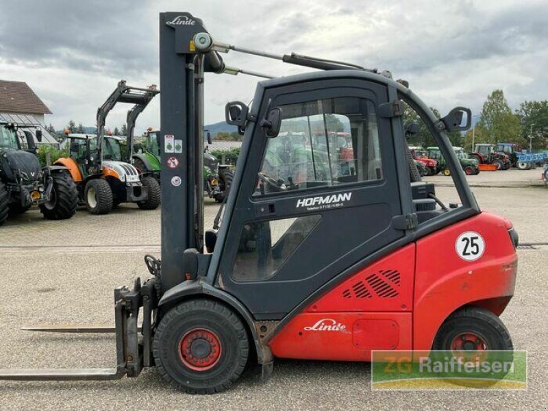 Sonstige Obsttechnik & Weinbautechnik des Typs Sonstige Linde H30D, Gebrauchtmaschine in Bühl (Bild 9)