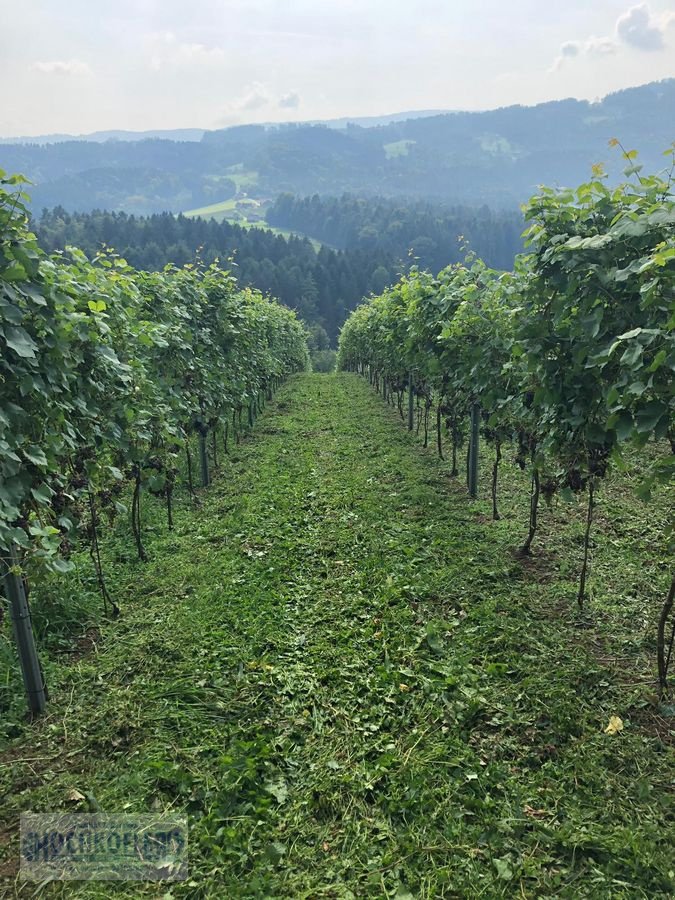 Sonstige Obsttechnik & Weinbautechnik del tipo Sonstige Psenner SV 173/240 + Held Stockräumer, Vorführmaschine In Wies (Immagine 9)