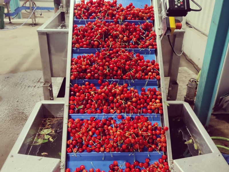 Sonstige Obsttechnik & Weinbautechnik typu Unitec Kirschsortiermaschine cherry vision 2.0, Gebrauchtmaschine v Koblenz (Obrázek 1)