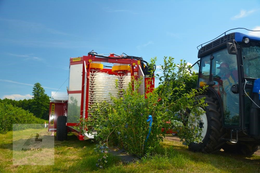 Sonstige Obsttechnik & Weinbautechnik typu Weremczuk Die Erntemaschine für Heidelbeeren, Himbeeren und Brombeeren KAREN, Neumaschine v Skierniewice (Obrázek 1)