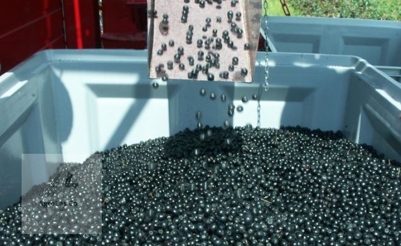 Sonstige Obsttechnik & Weinbautechnik typu Weremczuk Ganzreihige Erntemaschine für Beeren, Johannisbeeren, Aronia, Hagebutten, Beerenfrüchte VICTOR, Neumaschine v Skierniewice (Obrázek 3)