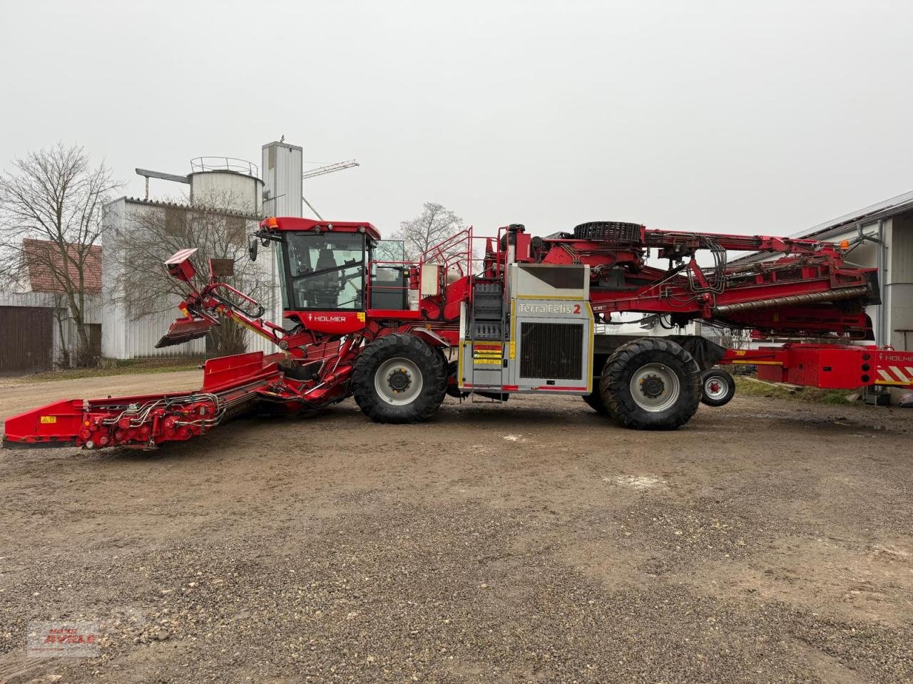 Sonstige Rübentechnik typu Holmer Terra Felis 2 Rübenmaus, Gebrauchtmaschine v Steinheim (Obrázek 4)