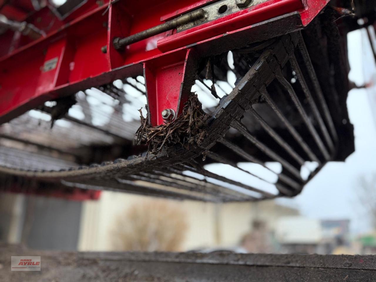 Sonstige Rübentechnik typu Holmer Terra Felis 2 Rübenmaus, Gebrauchtmaschine v Steinheim (Obrázek 11)