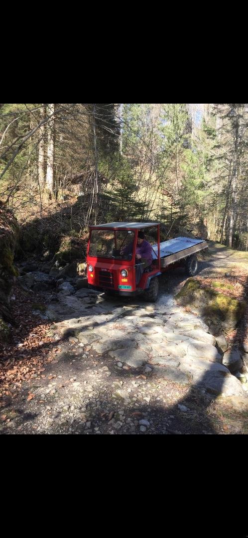 Sonstige Transporttechnik typu Aebi TP 25, Gebrauchtmaschine v Matten (Obrázek 10)