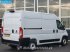 Sonstige Transporttechnik a típus Fiat Ducato 120PK L2H2 Trekhaak Navi Airco Cruise L2 11m3 A/C Towbar, Gebrauchtmaschine ekkor: Veghel (Kép 5)