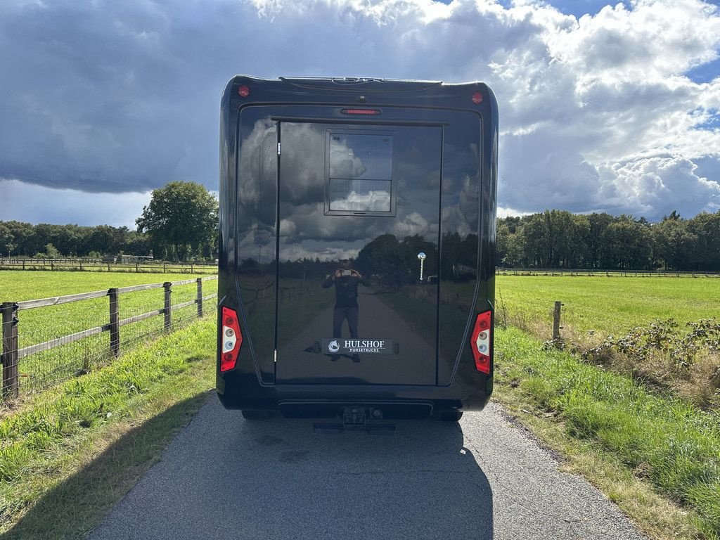 Sonstige Transporttechnik a típus Renault Master STX 2-paards paardenvrachtwagen B-rijbewijs, Gebrauchtmaschine ekkor: KOOTWIJKERBROEK (Kép 9)