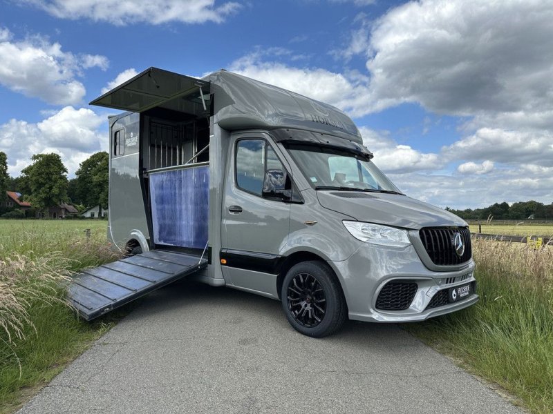 Sonstige Transporttechnik van het type Sonstige Mercedes Benz Sprinter 314 AMG 2-paards paardenvrachtwagen B-rijbewijs, Gebrauchtmaschine in KOOTWIJKERBROEK (Foto 1)