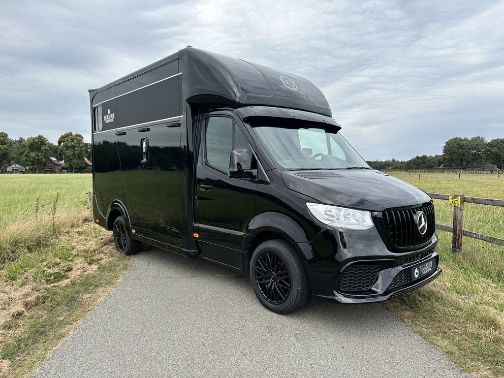 Sonstige Transporttechnik du type Sonstige Mercedes Benz Sprinter 315 AMG 2-paards paardenvrachtwagen B-rijbewijs, Gebrauchtmaschine en KOOTWIJKERBROEK (Photo 2)