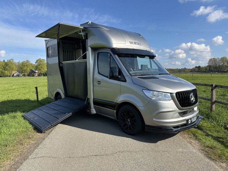 Sonstige Transporttechnik типа Sonstige Mercedes Benz Sprinter 317 AMG 2-paards Paardenvrachtwagen B-rijbewijs, Gebrauchtmaschine в KOOTWIJKERBROEK (Фотография 1)