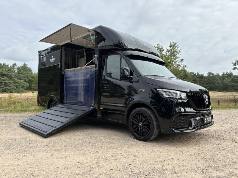 Sonstige Transporttechnik του τύπου Sonstige Mercedes Benz Sprinter 319 AMG 2-paards paardenvrachtwagen B-rijbewijs, Gebrauchtmaschine σε KOOTWIJKERBROEK (Φωτογραφία 1)