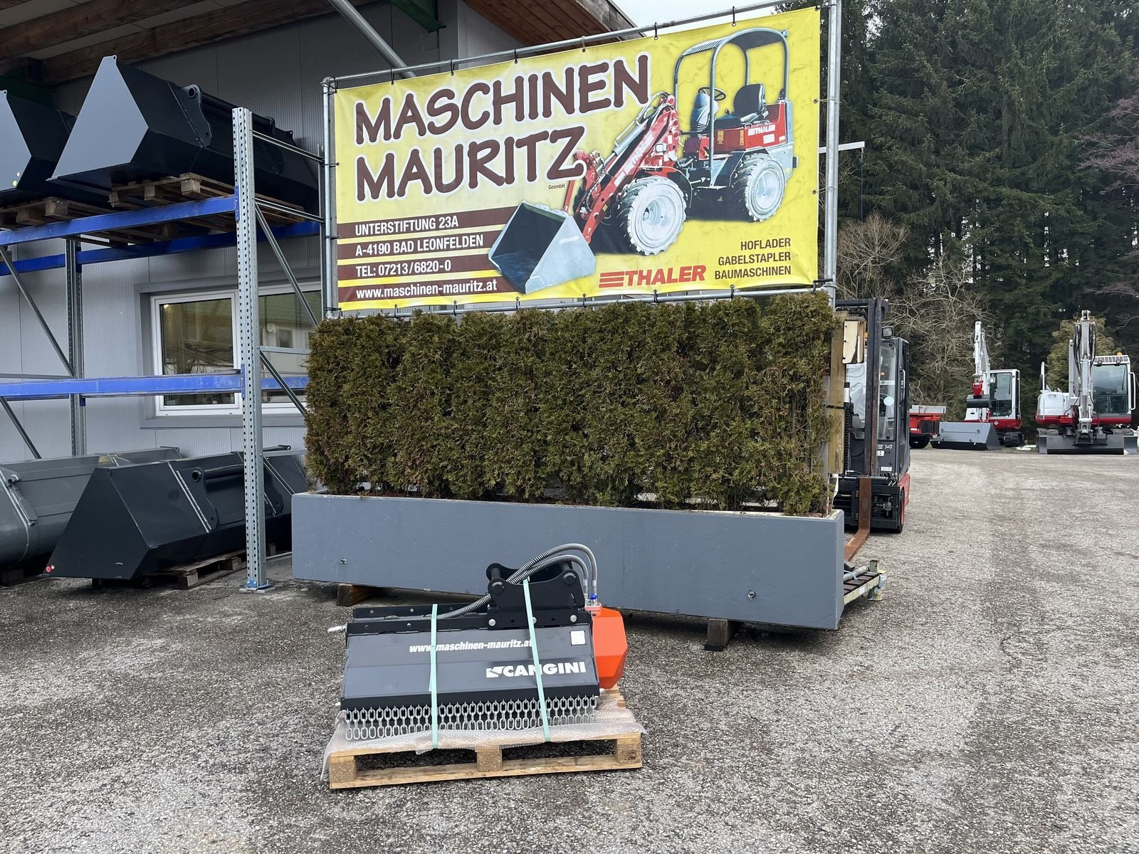 Sonstiger Baggerzubehör del tipo Cangini Mulcher TC1-100, Gebrauchtmaschine In Bad Leonfelden (Immagine 1)