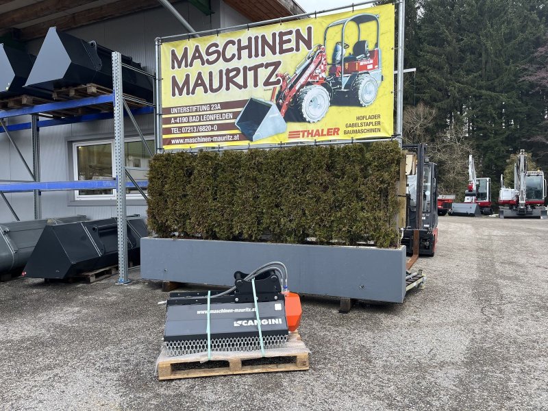 Sonstiger Baggerzubehör от тип Cangini Mulcher TC1-100, Gebrauchtmaschine в Bad Leonfelden (Снимка 1)