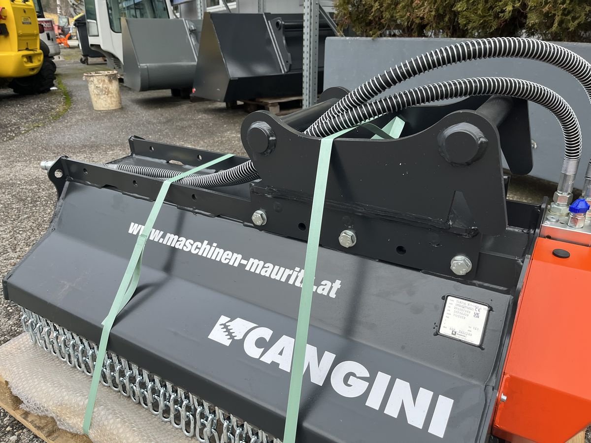 Sonstiger Baggerzubehör du type Cangini TC1-100 Mulcher, Neumaschine en Bad Leonfelden (Photo 5)