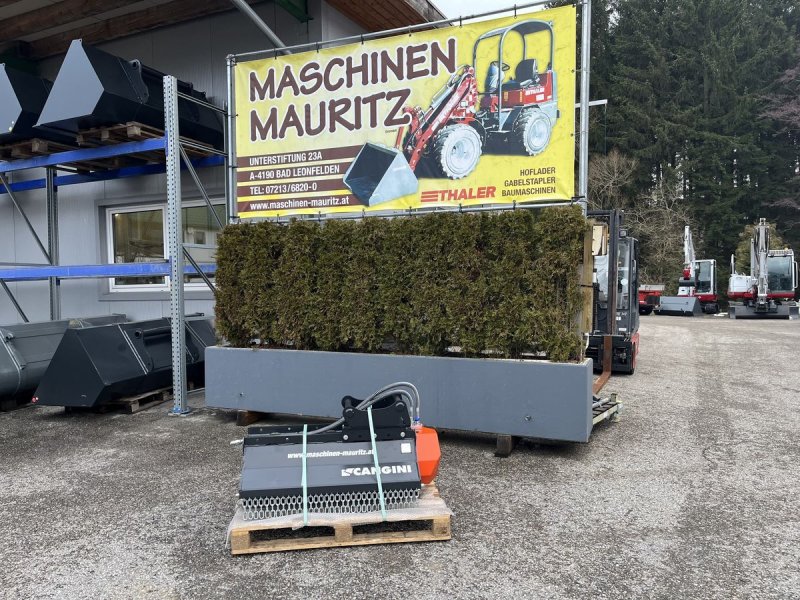 Sonstiger Baggerzubehör от тип Cangini TC1-100 Mulcher, Neumaschine в Bad Leonfelden (Снимка 1)