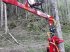 Sonstiger Baggerzubehör van het type Sonstige Auslegerschreitfuß, Neumaschine in Gosau am Dachstein (Foto 3)