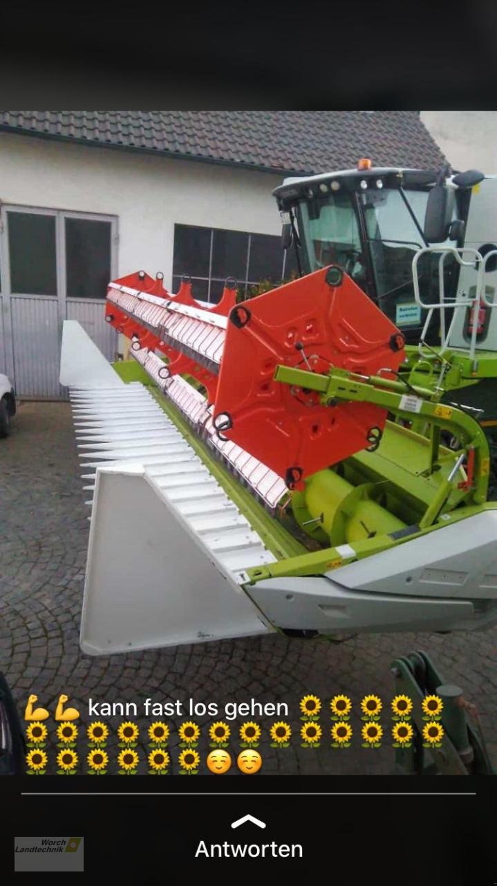 Sonstiges Mähdrescherzubehör des Typs CLAAS Sonnenblumensatz, Neumaschine in Schora (Bild 1)