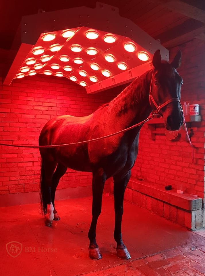 Sonstiges van het type BM Horse Pferde Alu Solar, Neumaschine in Bytów (Foto 1)