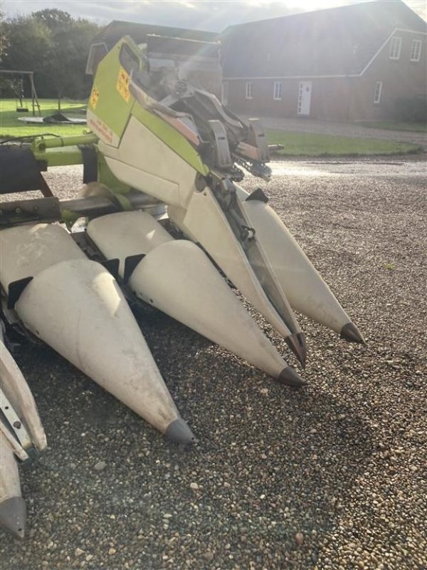 Sonstiges des Typs CLAAS Conspeed 6 Rk plukkebord, Gebrauchtmaschine in Rødekro (Bild 4)