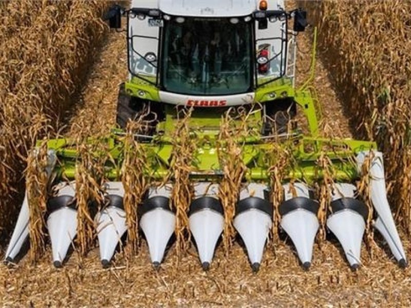 Sonstiges типа CLAAS Conspeed 8-75 FC På lager, Gebrauchtmaschine в Ribe (Фотография 1)