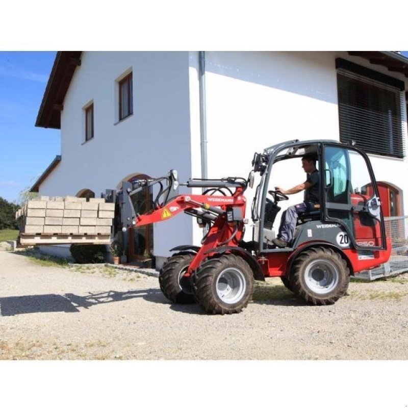 Sonstiges del tipo Fliegl PALLEGAFLER ROBUST 2,5T, Gebrauchtmaschine en Aalestrup (Imagen 3)