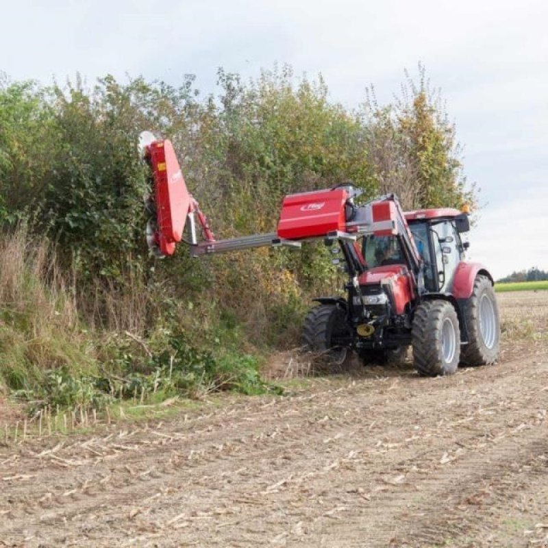 Sonstiges Türe ait Fliegl WOODKING CLASSIC, Gebrauchtmaschine içinde Aalestrup (resim 3)