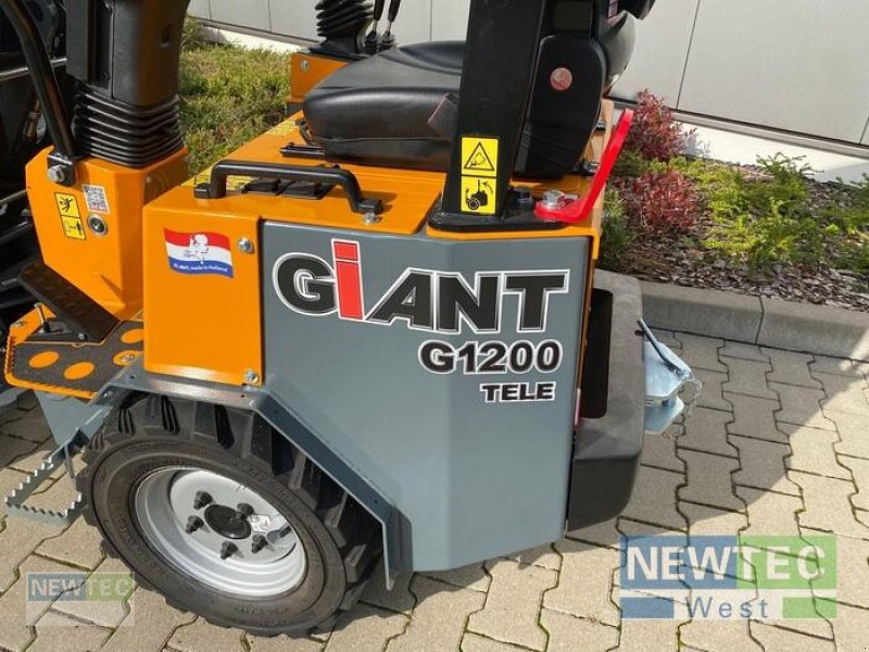 Sonstiges Türe ait GiANT G1200 TELE, Gebrauchtmaschine içinde Syke-Heiligenfelde (resim 3)