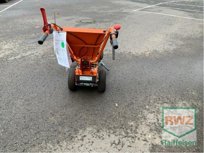 Sonstiges del tipo Kersten WEEDO II Wildkrautbürste, Gebrauchtmaschine en Lebach (Imagen 3)