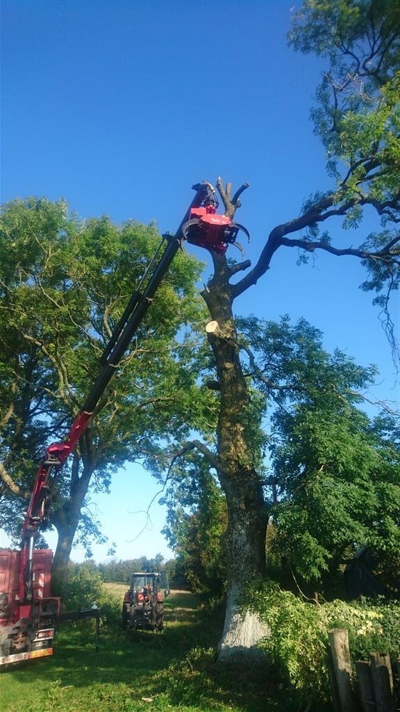 Sonstiges del tipo Mecanil Fældegrab med sav, Gebrauchtmaschine en Fredericia (Imagen 4)