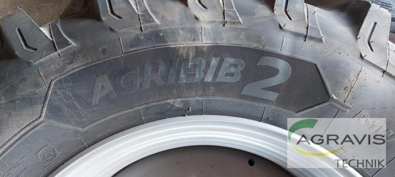 Sonstiges del tipo Michelin 520/85R38, Gebrauchtmaschine In Salzkotten (Immagine 3)