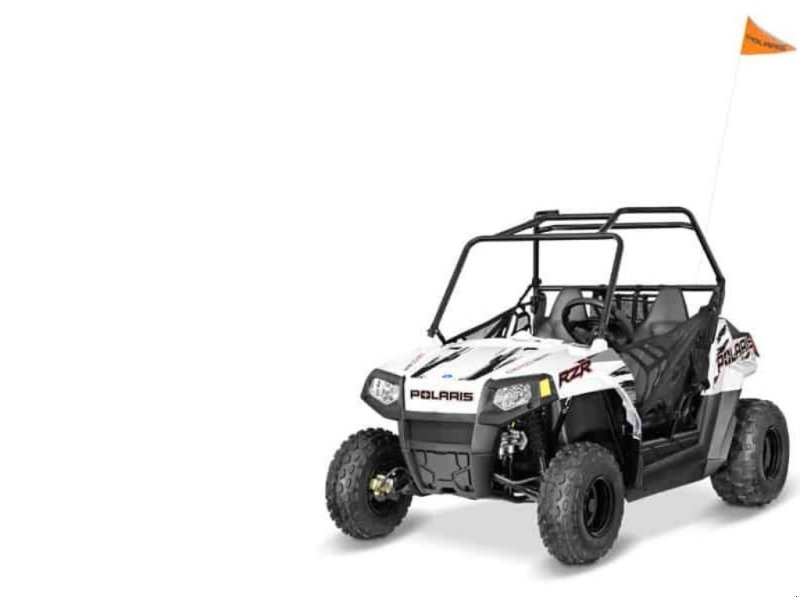 Sonstiges typu Polaris RZR 170EFI, Gebrauchtmaschine w Give (Zdjęcie 1)