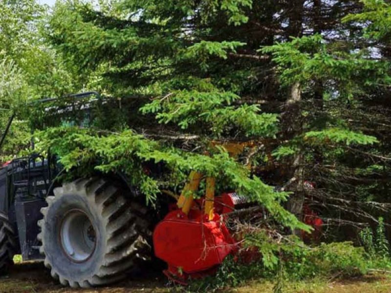 Sonstiges типа Seppi Maxi-Forst 250 cm, Gebrauchtmaschine в Vrå (Фотография 3)