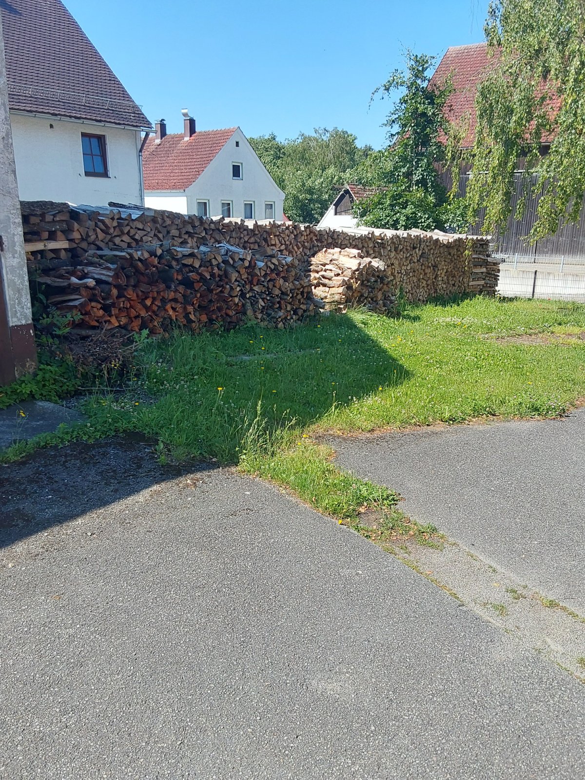 Sonstiges des Typs Sonstige Esche, Neumaschine in Kötz  OT  Ebersbach (Bild 1)