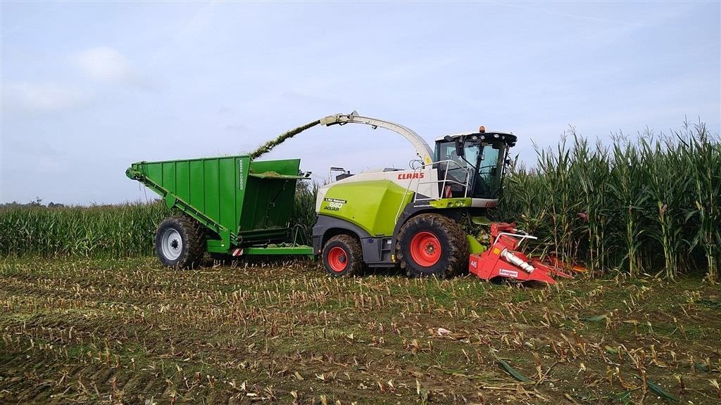 Sonstiges типа Sonstige Greenloader overlæssevogne til majs, græs og kartofler m.m., Gebrauchtmaschine в Løgumkloster (Фотография 7)