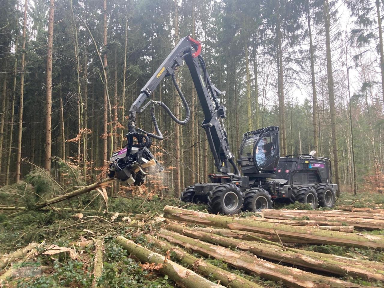 Sonstiges типа Sonstige Logset Harvester 8H Hybrid, Neumaschine в Kirchhundem (Фотография 6)