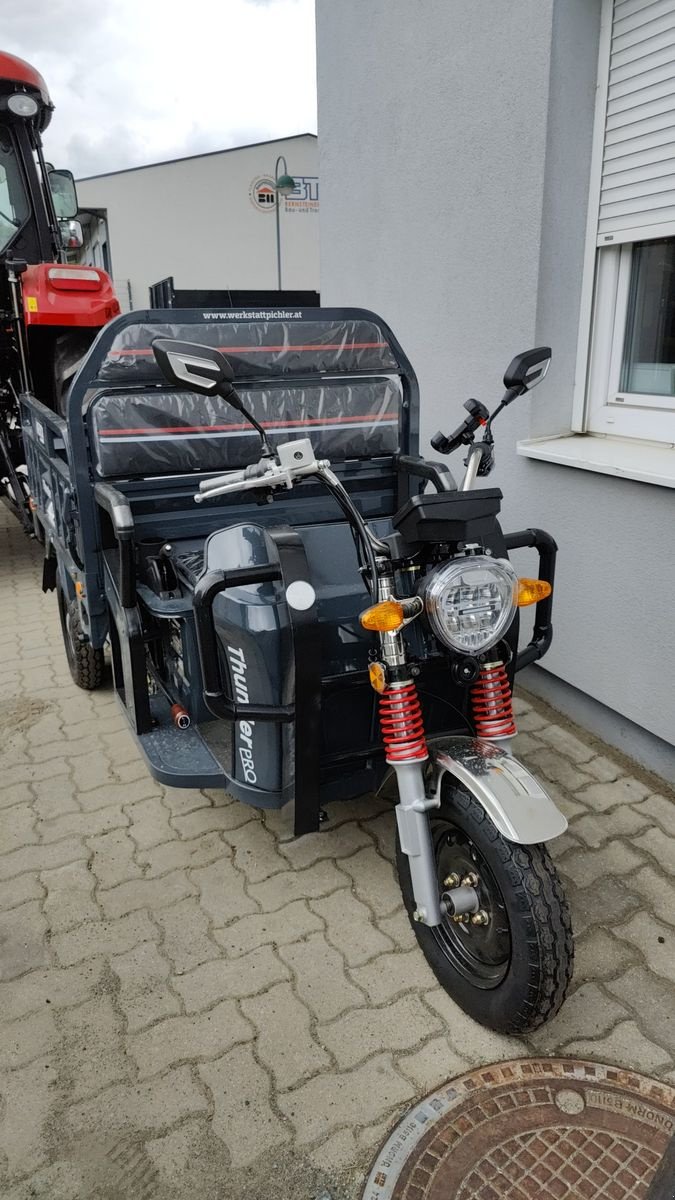 Sonstiges del tipo Sonstige NERO Thunder - Elektro Lastendreirad - Tuc Tuc, Neumaschine en Kirchschlag (Imagen 1)