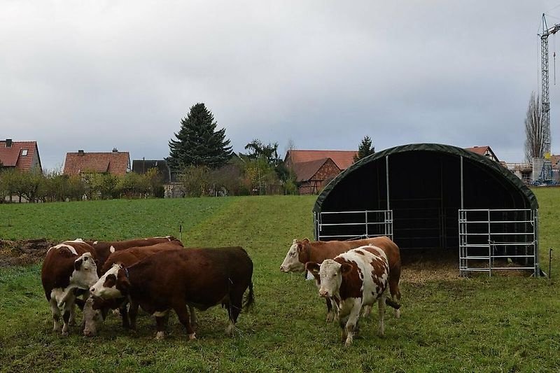 Sonstiges des Typs Sonstige Weidezelt Unterstand 6x6m Landwirtschaft Neu inkl. Panels, Gebrauchtmaschine in Rodeberg OT Eigenrieden (Bild 3)