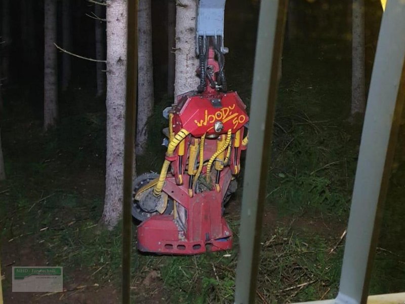 Sonstiges Türe ait Sonstige Woody 50 Harvesterkopf, Gebrauchtmaschine içinde Kirchhundem