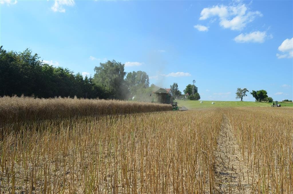 Sonstiges typu Ziegler ST Rapsforsats, Gebrauchtmaschine w Vissenbjerg (Zdjęcie 3)