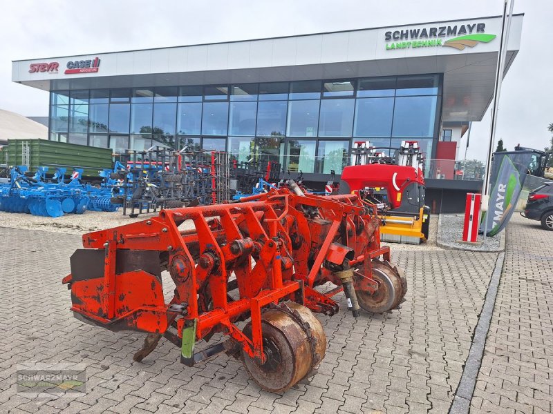 Spatenpflug typu Sonstige Tortella Seroe 405, Gebrauchtmaschine w Aurolzmünster (Zdjęcie 1)