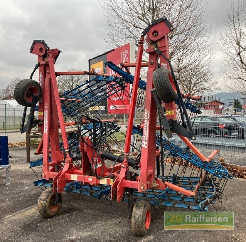 Spatenrollegge a típus Hatzenbichler Striegel, Gebrauchtmaschine ekkor: Bühl (Kép 2)