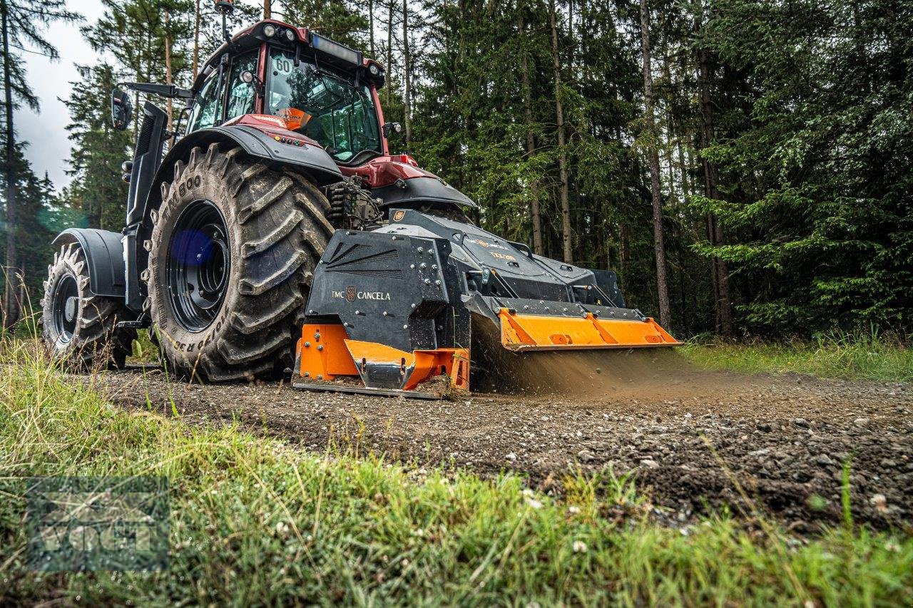 Steinezerkleinerer del tipo TMC Cancela TXX-250 Steinbrecher /Steinfräse für Traktor-Aktionsangebot, Neumaschine In Schmallenberg (Immagine 11)