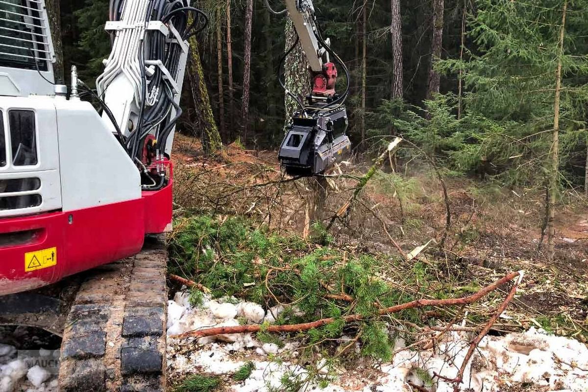 Stockfräse a típus FAE BL2 EX 125 VT, Neumaschine ekkor: Burgkirchen (Kép 3)