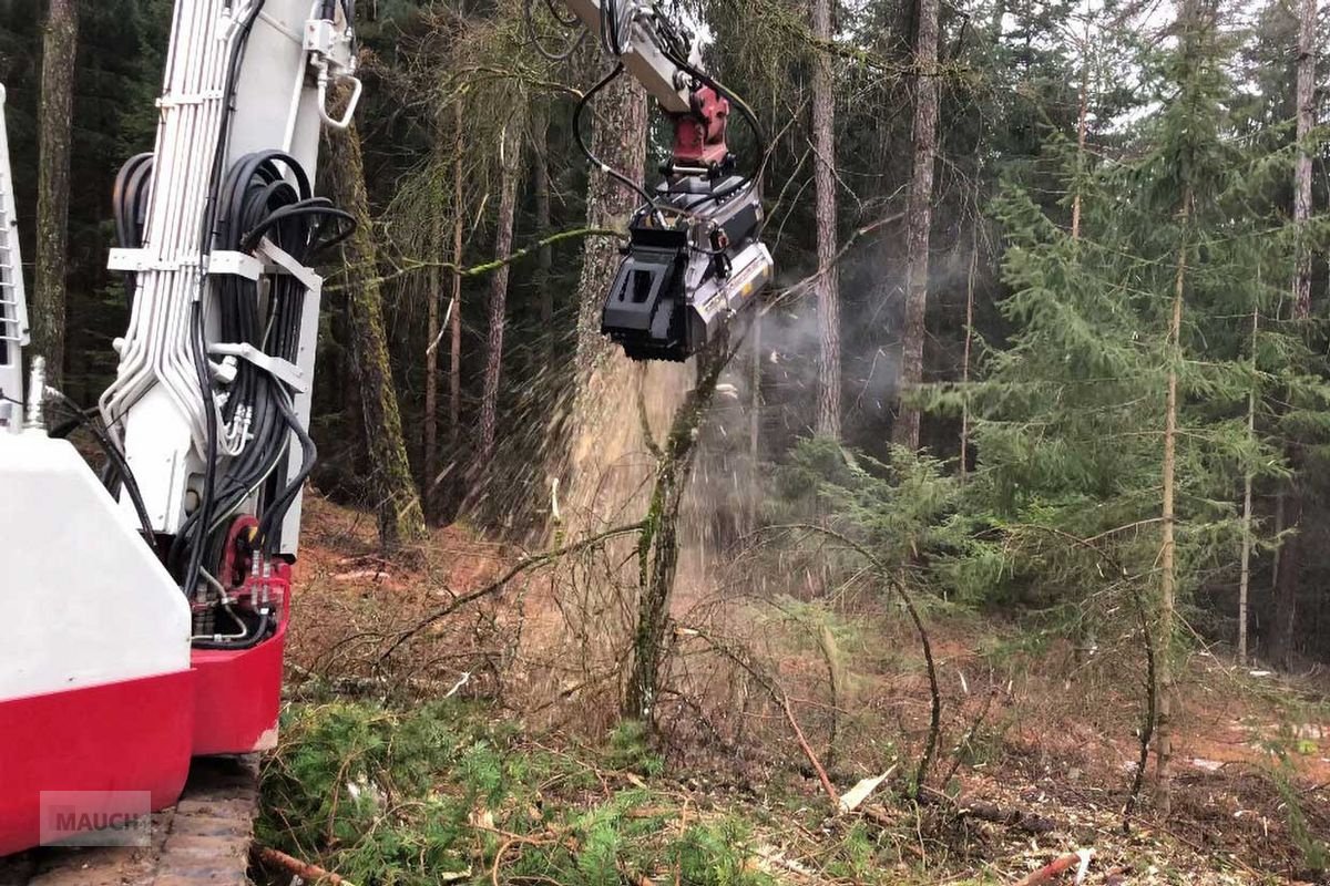 Stockfräse del tipo FAE BL2 EX 125 VT, Neumaschine en Burgkirchen (Imagen 9)