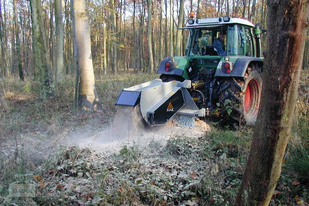 Stockfräse a típus FAE SCH GT, Neumaschine ekkor: Burgkirchen (Kép 4)