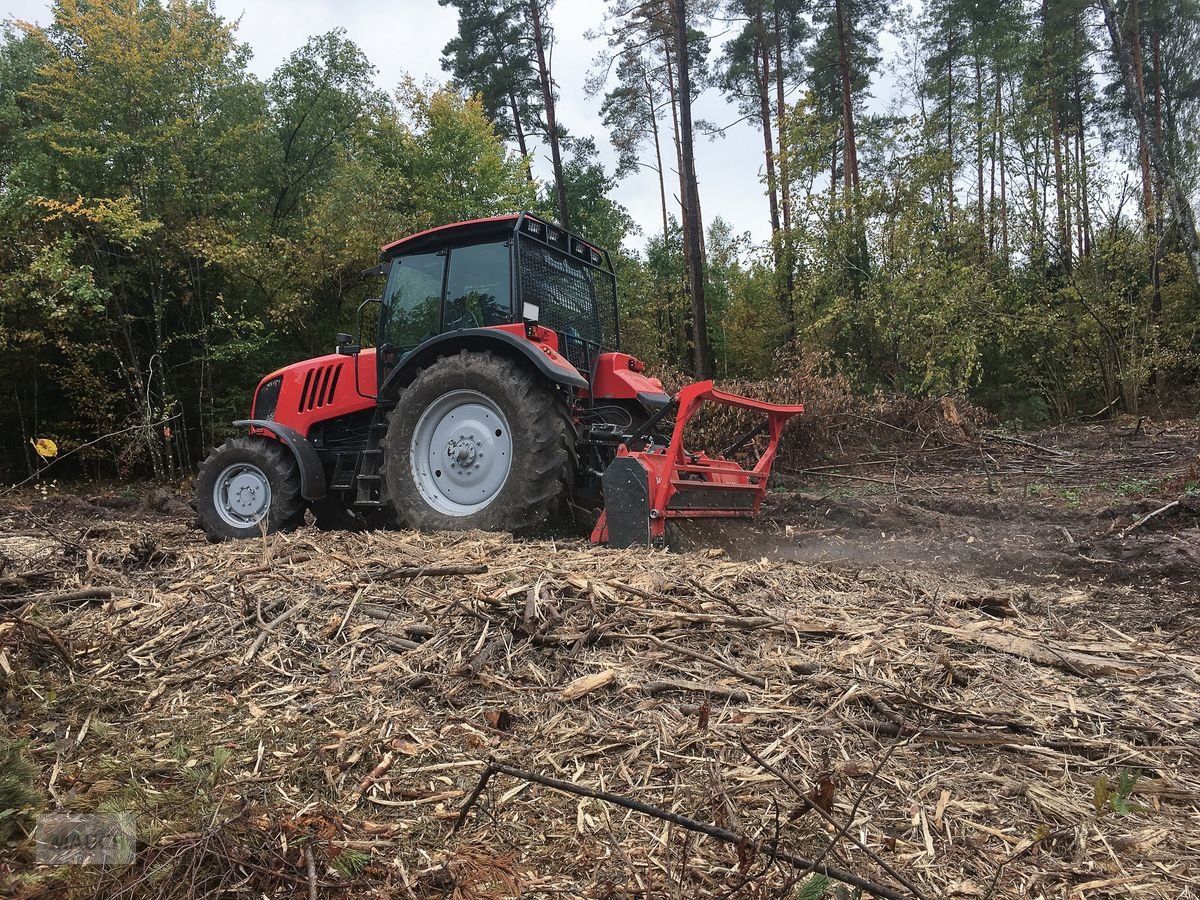 Stockfräse του τύπου Prinoth M450M Gestrüppmulcher, Neumaschine σε Burgkirchen (Φωτογραφία 5)