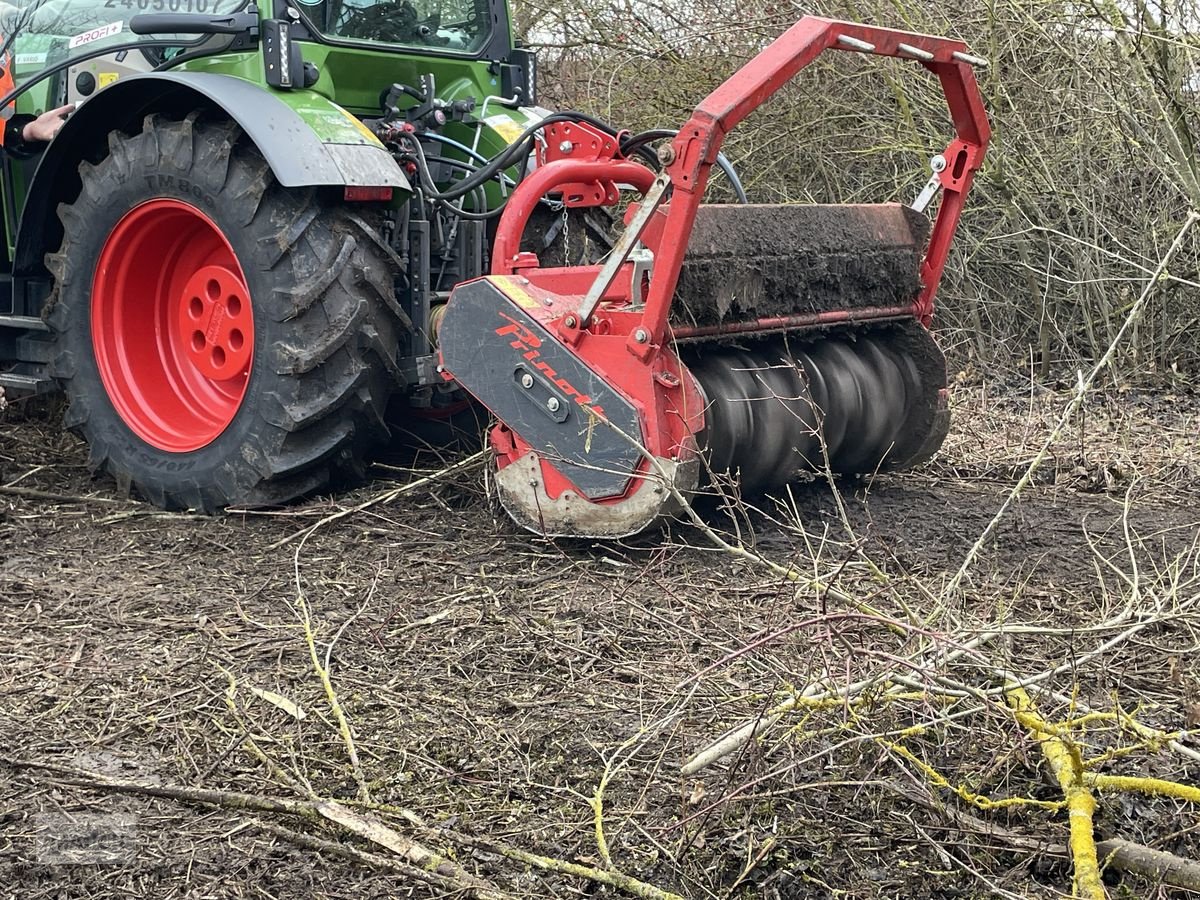 Stockfräse от тип Prinoth M450m, Neumaschine в Burgkirchen (Снимка 1)