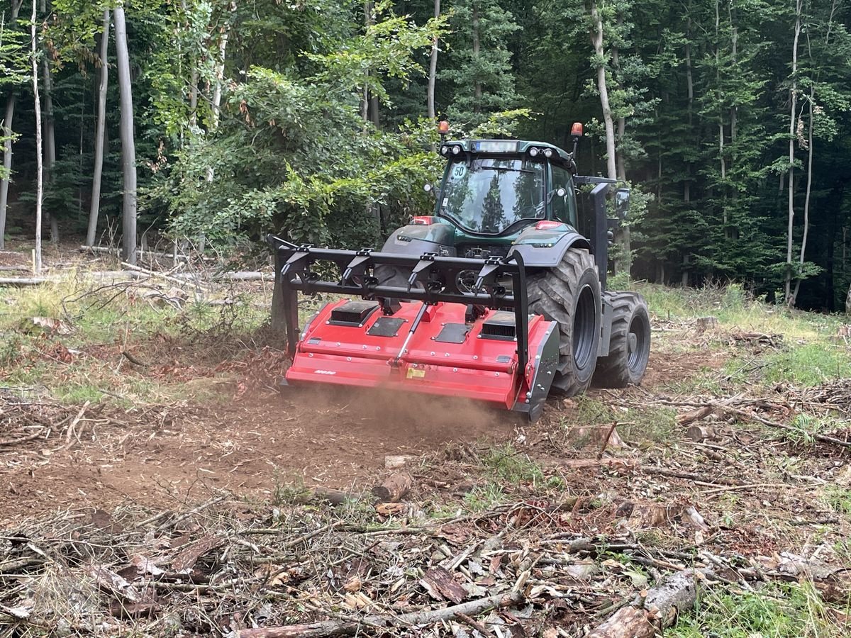 Stockfräse del tipo Prinoth M650m Turbo, Neumaschine In Burgkirchen (Immagine 3)